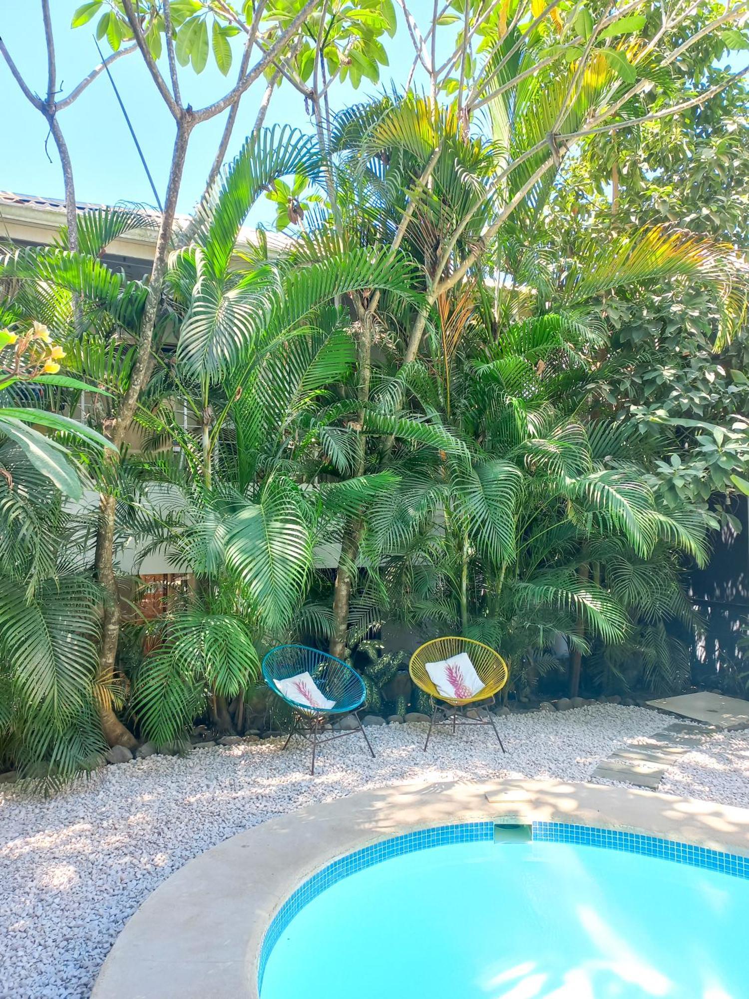 Calma Apartments Costa Rica 马尔帕伊斯 外观 照片