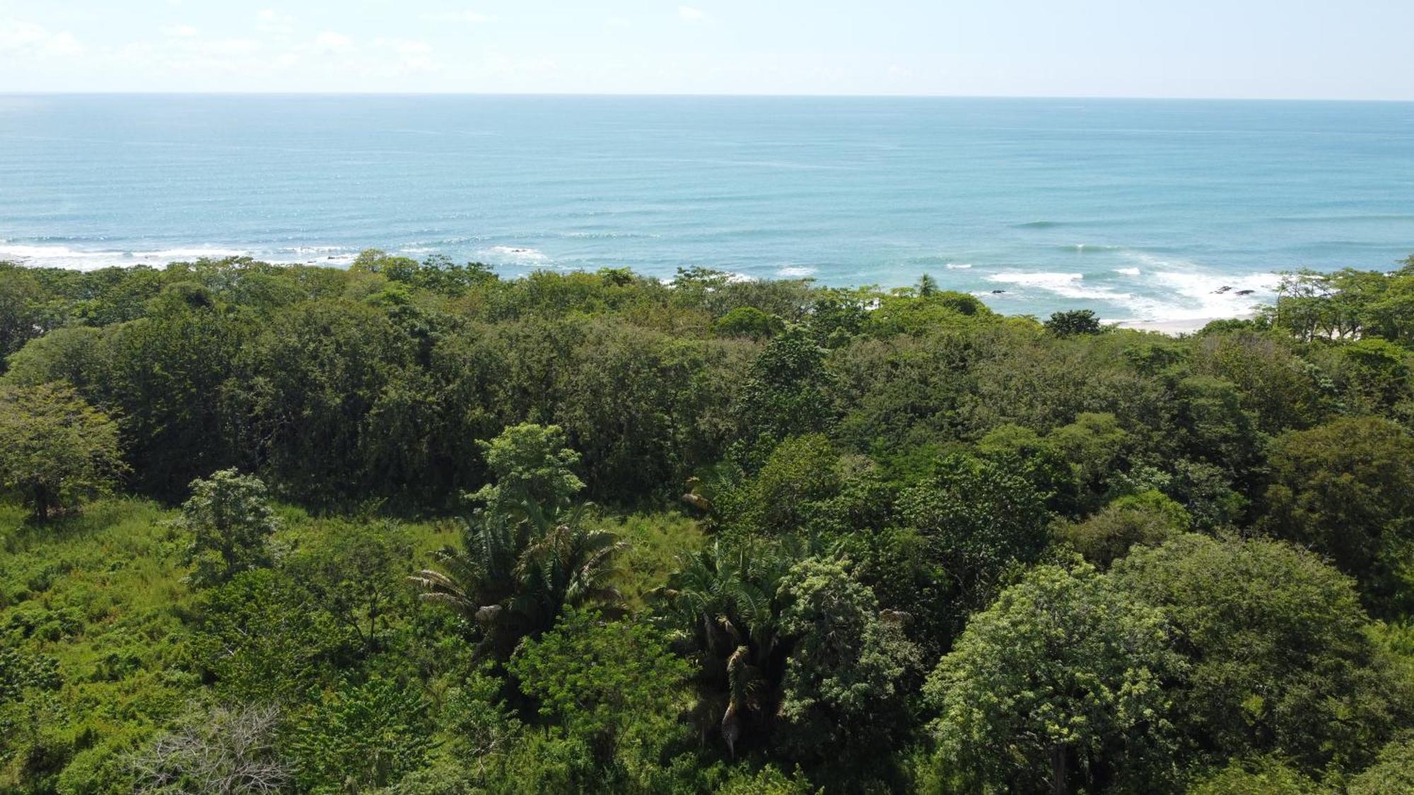 Calma Apartments Costa Rica 马尔帕伊斯 外观 照片